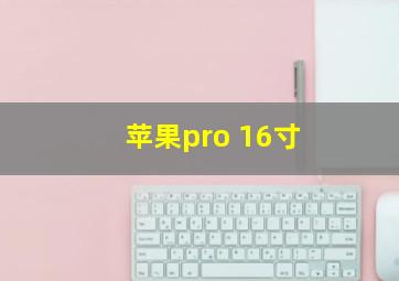 苹果pro 16寸